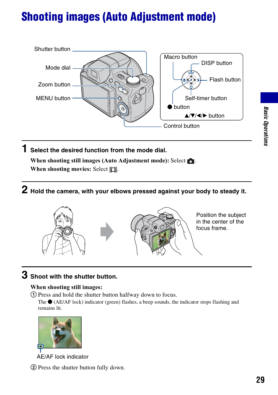 Shooting images (auto adjustment mode) | Sony Cyber-shot 3-295-460-12(1) User Manual | Page 29 / 154