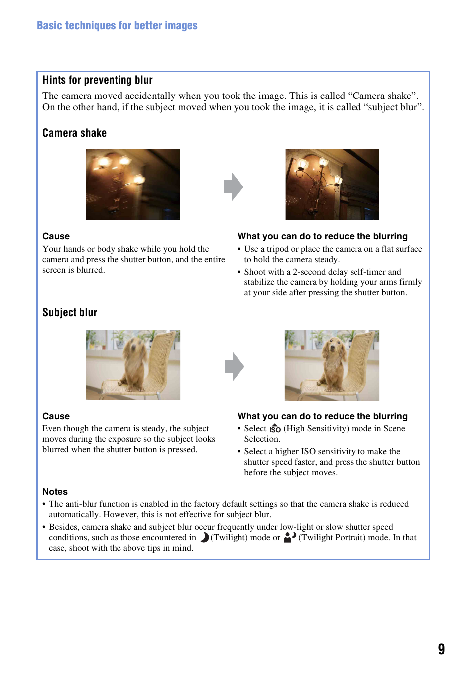 Hints for preventing blur | Sony Cyber-shot 3-295-460-12(1) User Manual | Page 9 / 154