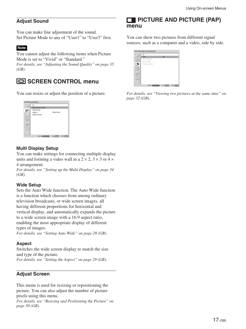 Screen control menu, Picture and picture (pap) menu, Adjust sound | Adjust screen, You can resize or adjust the position of a picture | Sony 32LX1 User Manual | Page 17 / 43