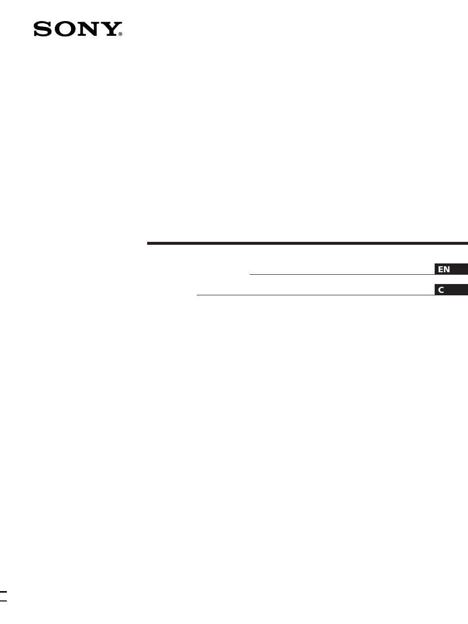 Sony CPD-100GS User Manual | 22 pages