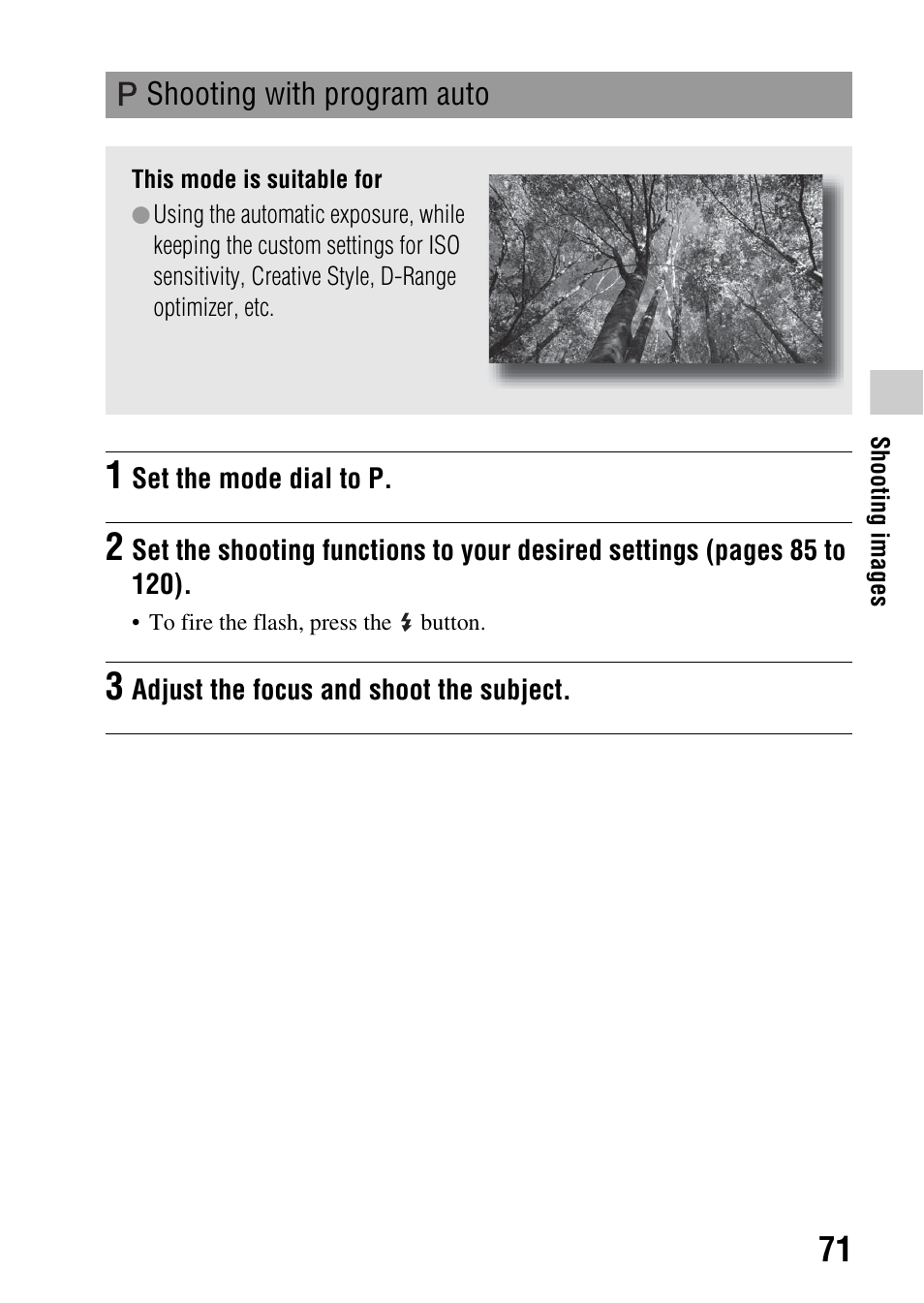 Shooting with program auto | Sony a (alpha) SLT-A55VL User Manual | Page 71 / 203