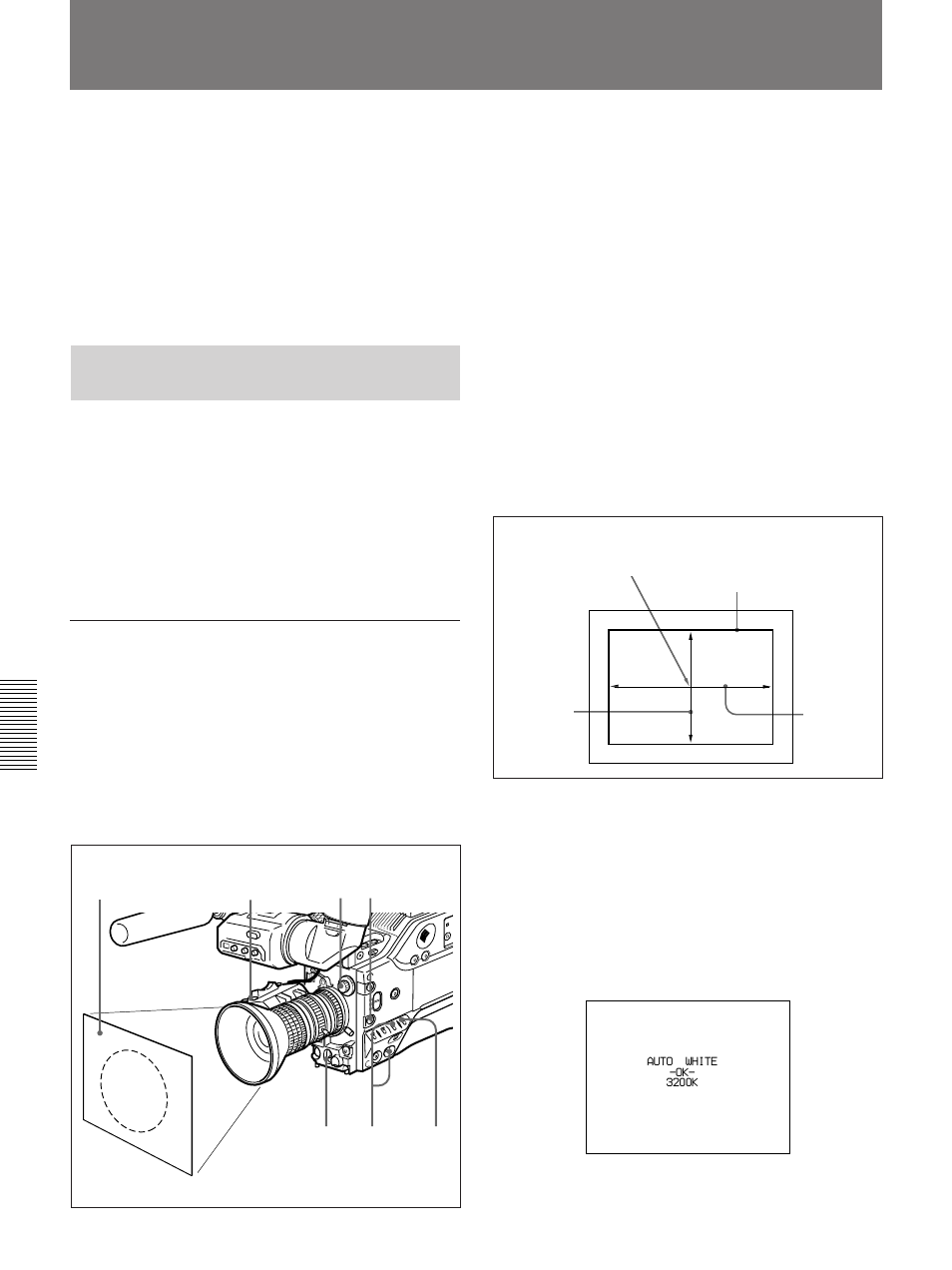 White balance adjustment | Sony 300PF User Manual | Page 100 / 124