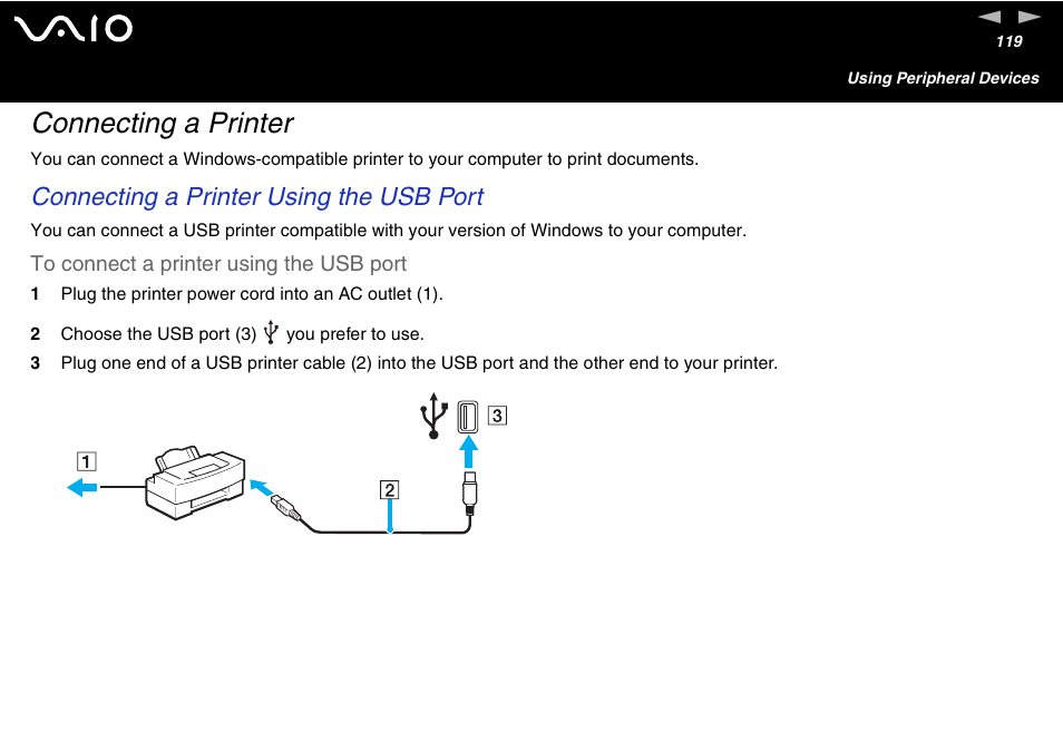 Connecting a printer, Connecting a printer using the usb port | Sony VGN-FS600 Series User Manual | Page 119 / 216