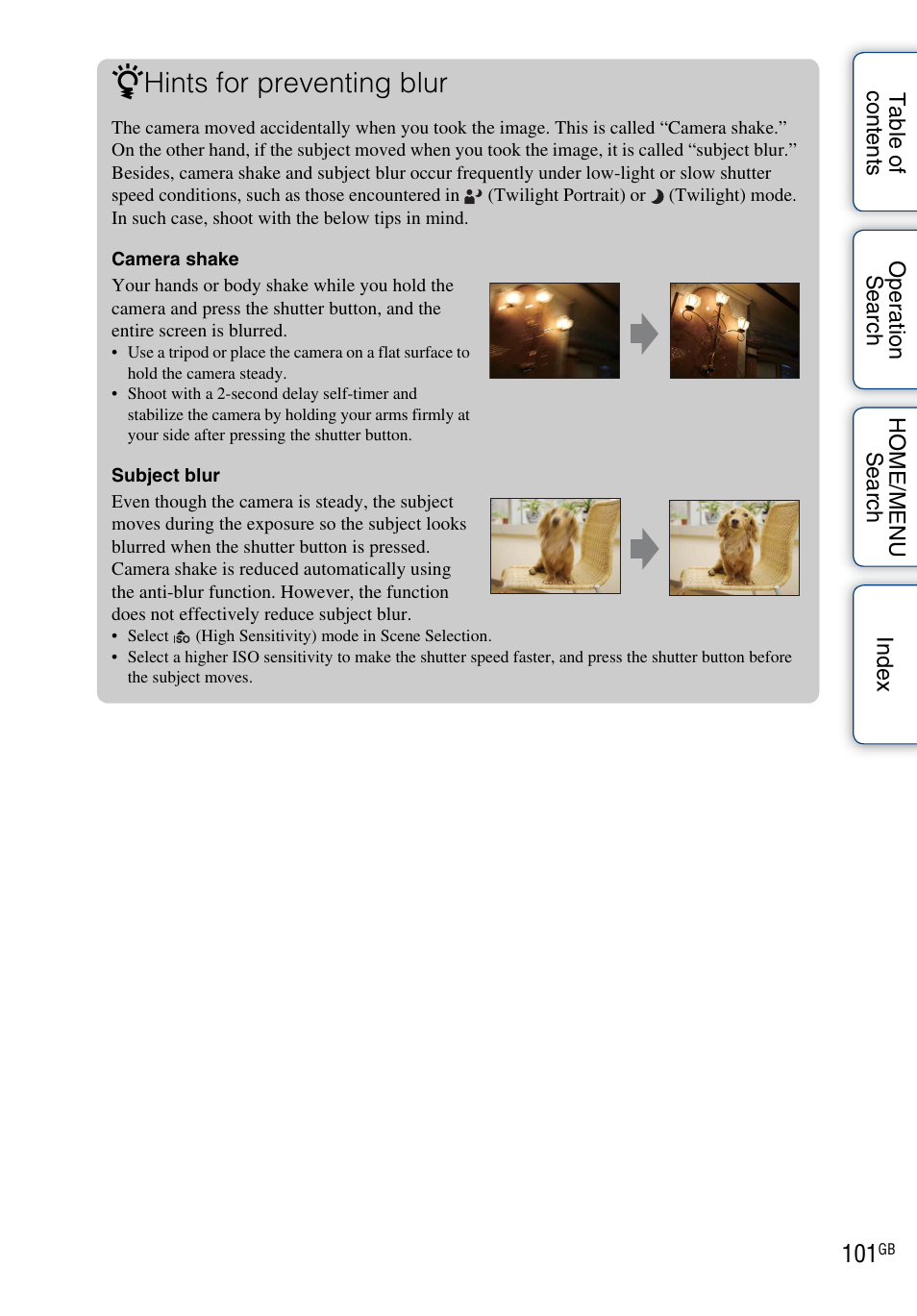 Hints for preventing blur | Sony Cyber-shot 4-130-938-12(1) User Manual | Page 101 / 170