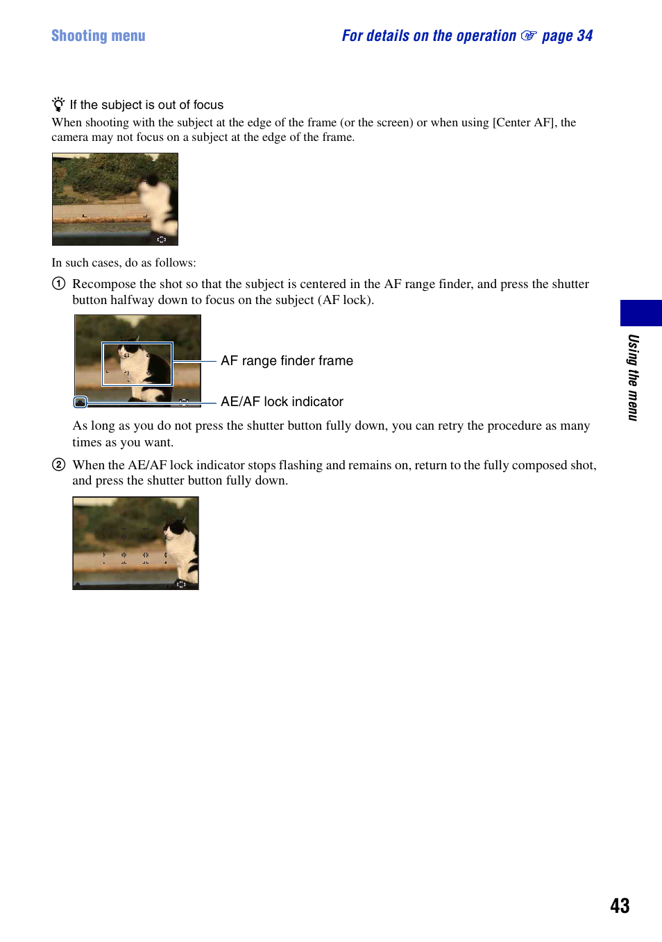 Sony DSC-S950 User Manual | Page 43 / 107