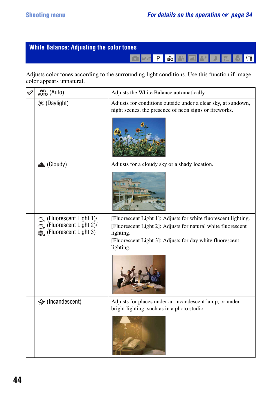 White balance: adjusting the color tones | Sony DSC-S950 User Manual | Page 44 / 107