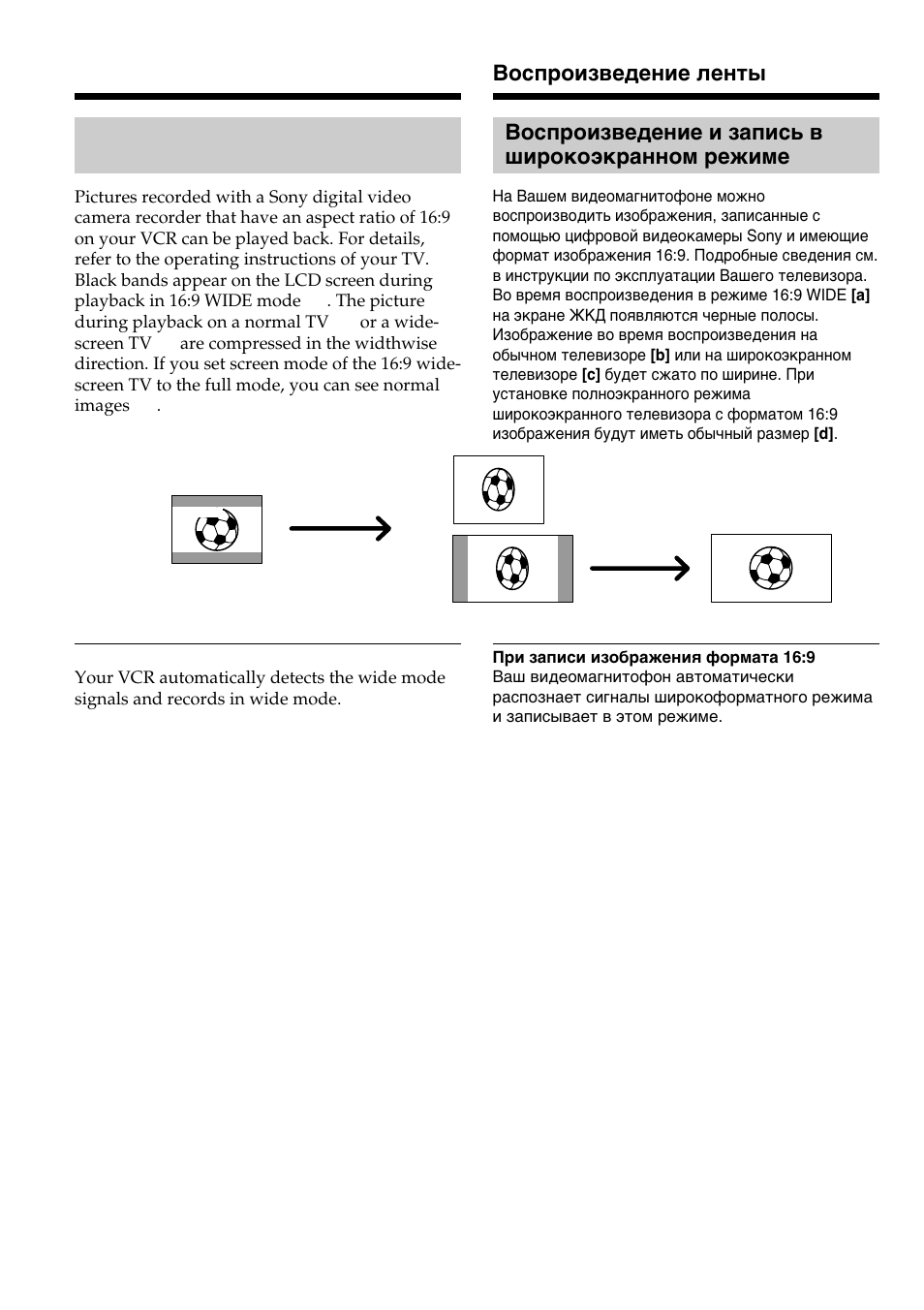 Sony DIGITAL 8 GV-D800E User Manual | Page 18 / 112