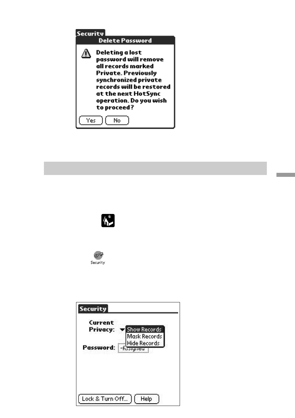 Masking and hiding records | Sony PEG-S300 User Manual | Page 125 / 192