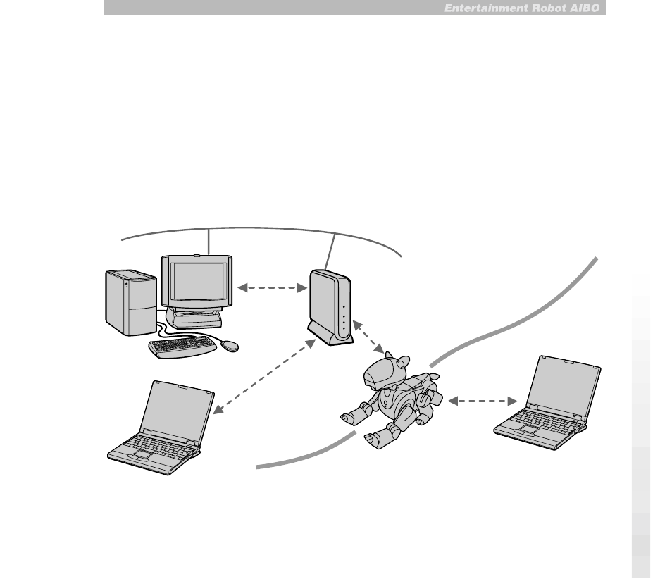 Overview | Sony ERA-201D1 User Manual | Page 5 / 96