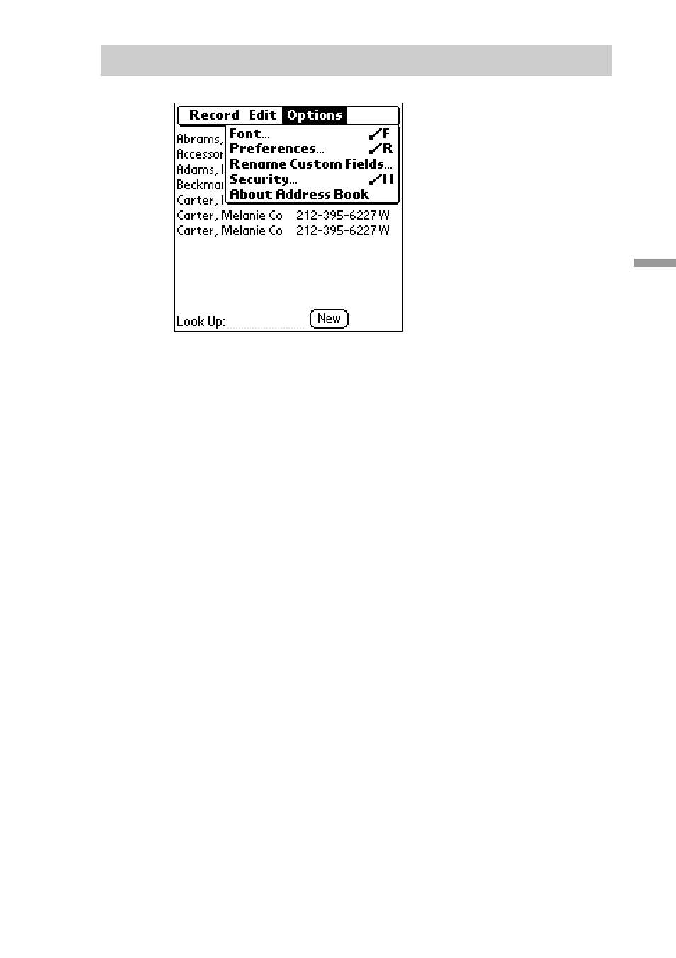 Options menu | Sony CLIE PEG-S300/E User Manual | Page 93 / 261