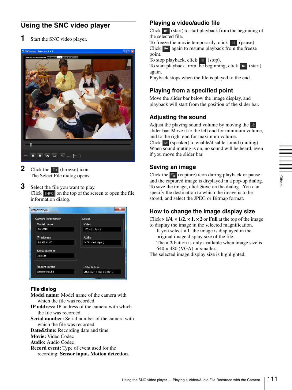 Using the snc video player | Sony IPELA SNC-RH124 User Manual | Page 111 / 120