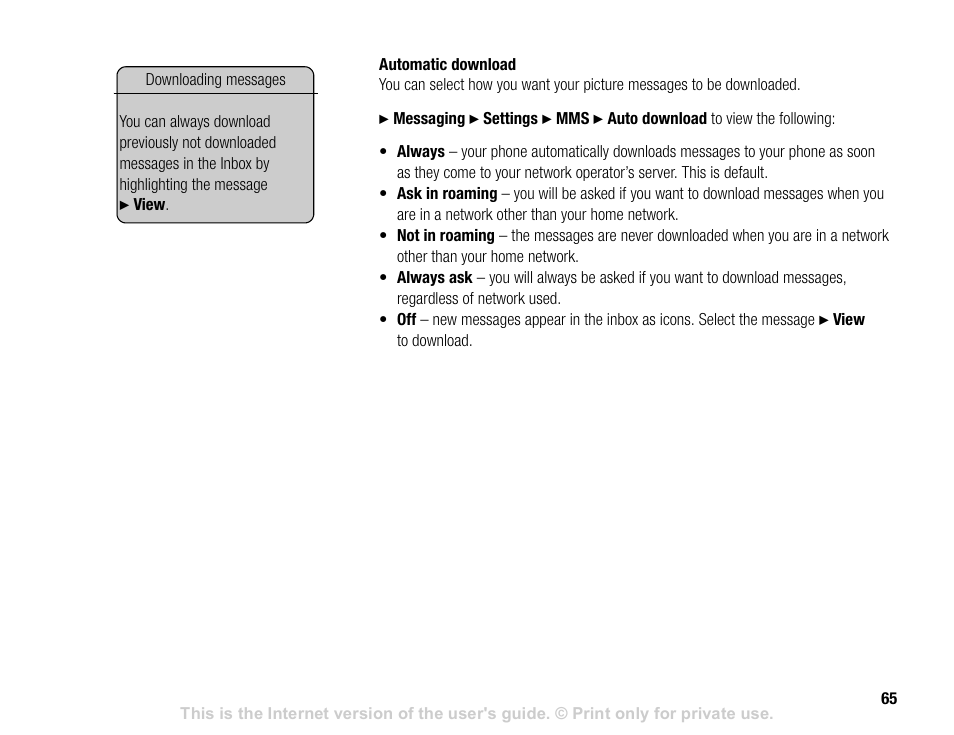 Sony V600 User Manual | Page 65 / 174