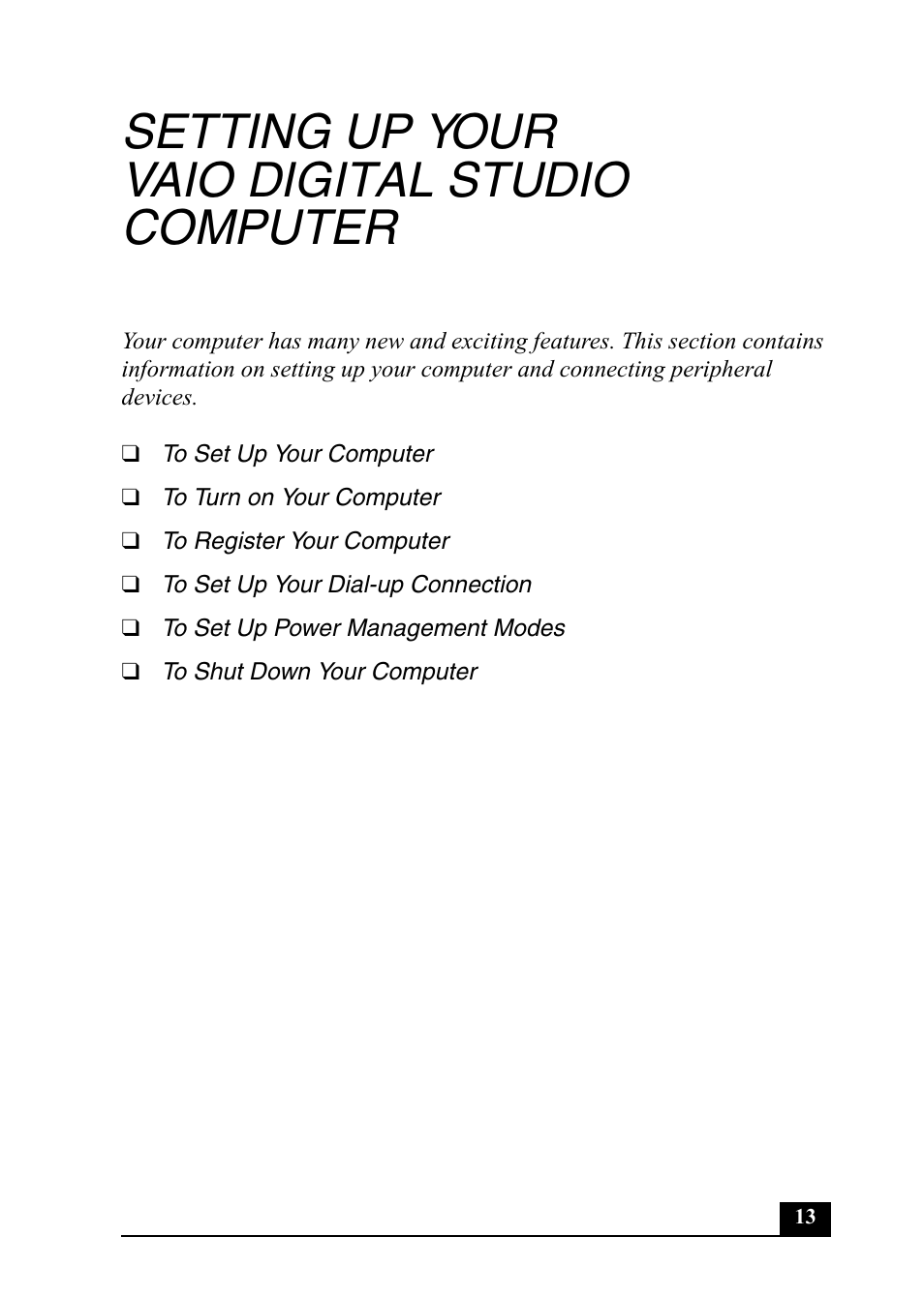 Setting up your vaio digital studio computer | Sony Vaio Series User Manual | Page 13 / 72