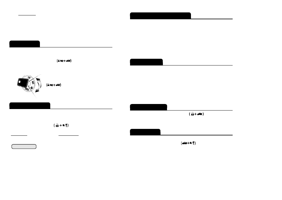 Optional programmable features | Staub Electronics NU1000R User Manual | Page 6 / 8
