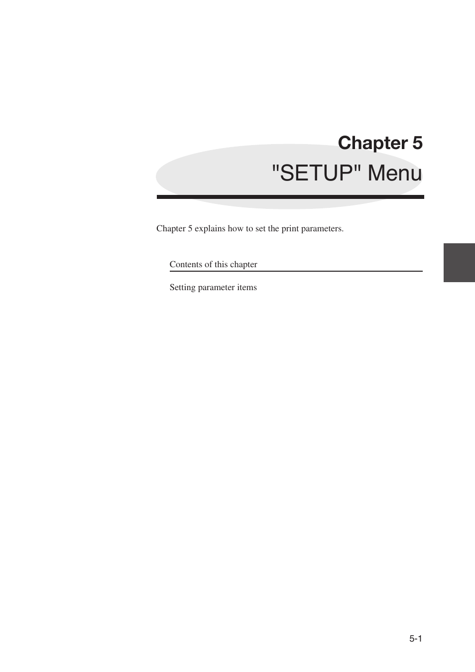 Chapter 5 "setup" menu, Setup" menu, Chapter 5 | Seiko Instruments SII Black-and-White Raster Plotter LP-1020 User Manual | Page 119 / 290