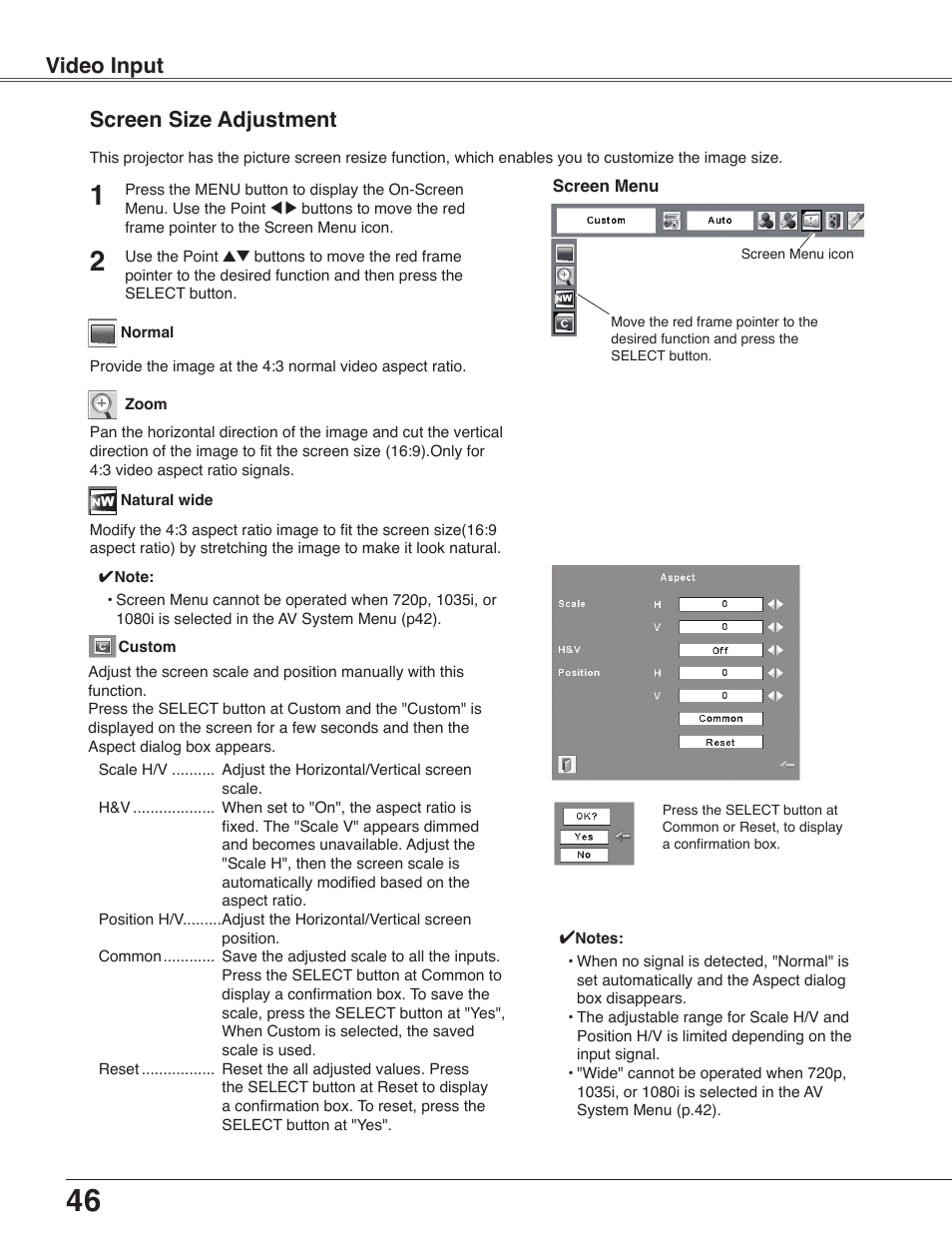 Screen size adjustment, Video input | Sanyo PLC-WXU30 User Manual | Page 46 / 82