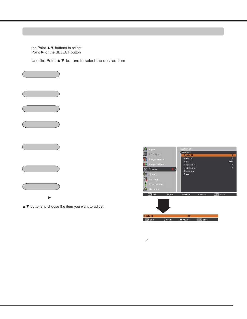 Screen size adjustment, Video input | Sanyo PLC WM5500L User Manual | Page 49 / 92