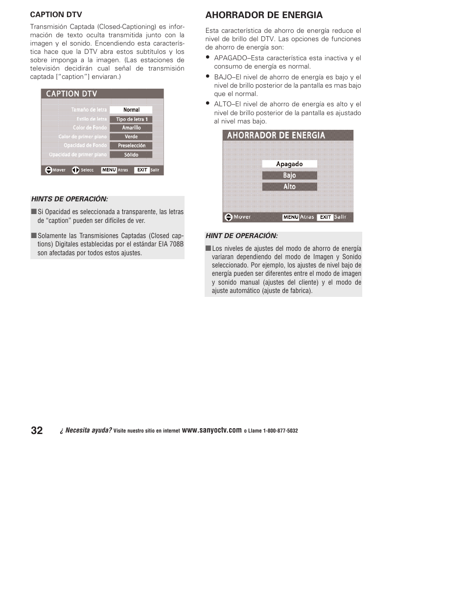Sanyo DP37647 User Manual | Page 32 / 52