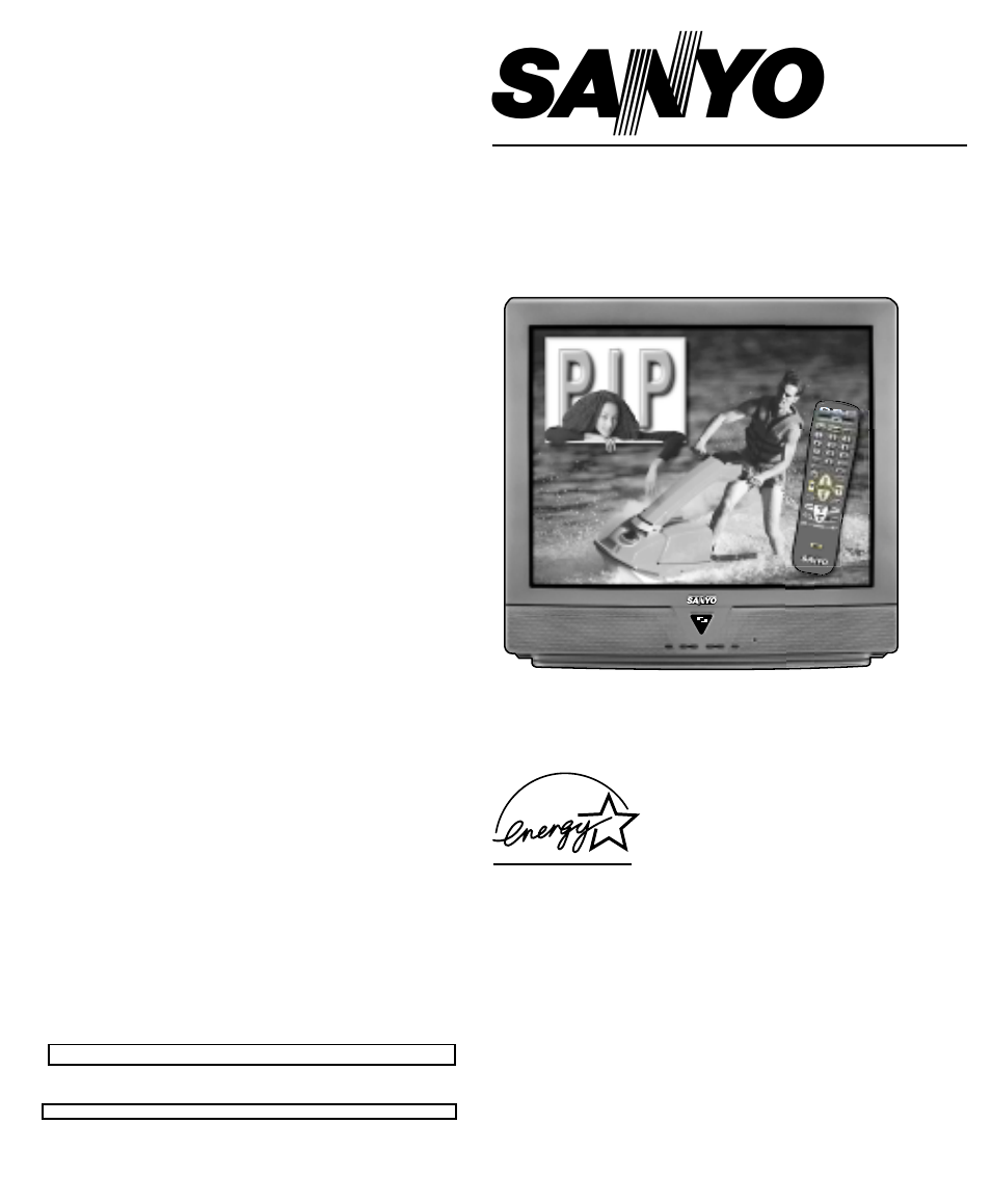 Sanyo DS31810 User Manual | 72 pages
