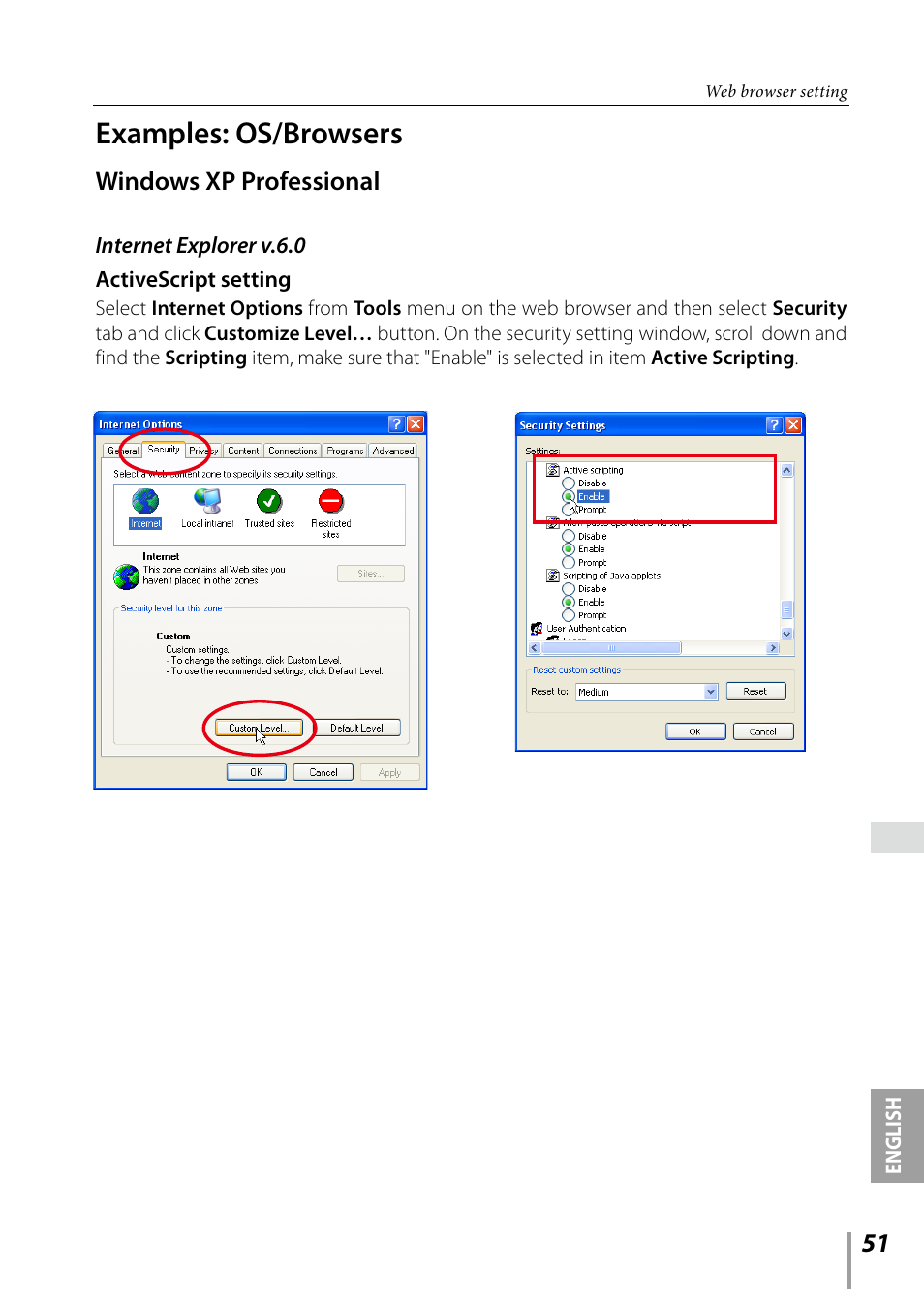 Examples: os/browsers, Windows xp professional | Sanyo PDG-DXL2000 User Manual | Page 51 / 60