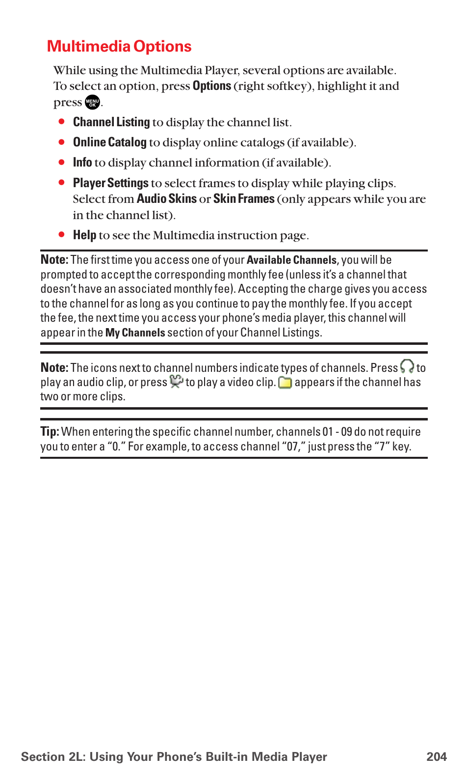 Multimedia options | Sanyo MM-7400 User Manual | Page 217 / 326