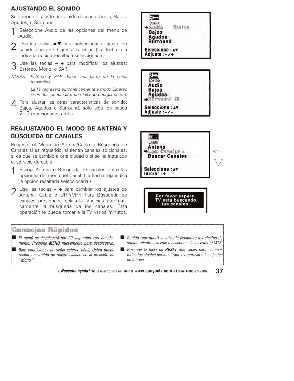 Sanyo DP23845 User Manual | Page 37 / 67