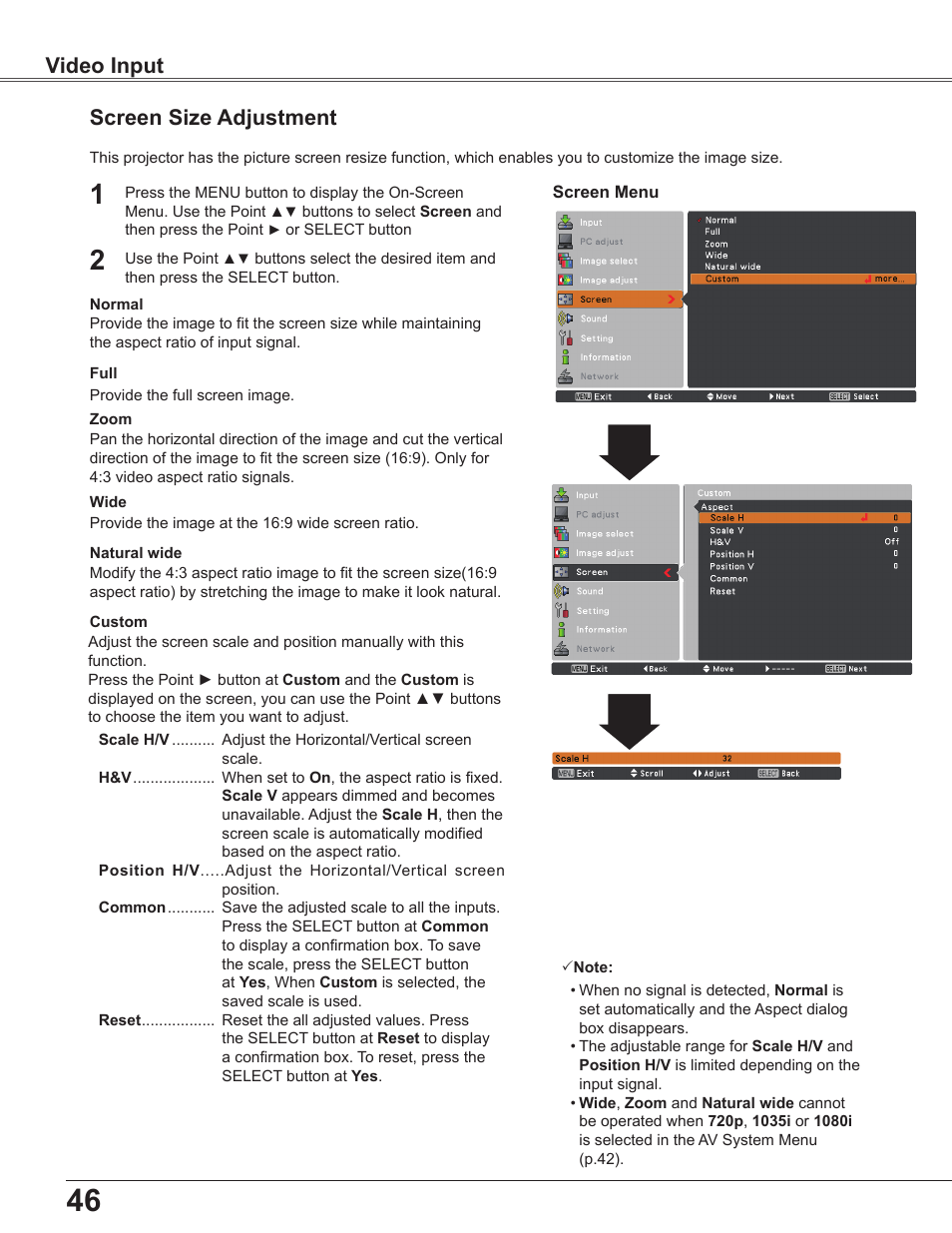 Screen size adjustment, Video input | Sanyo PLC WXU700A User Manual | Page 46 / 85