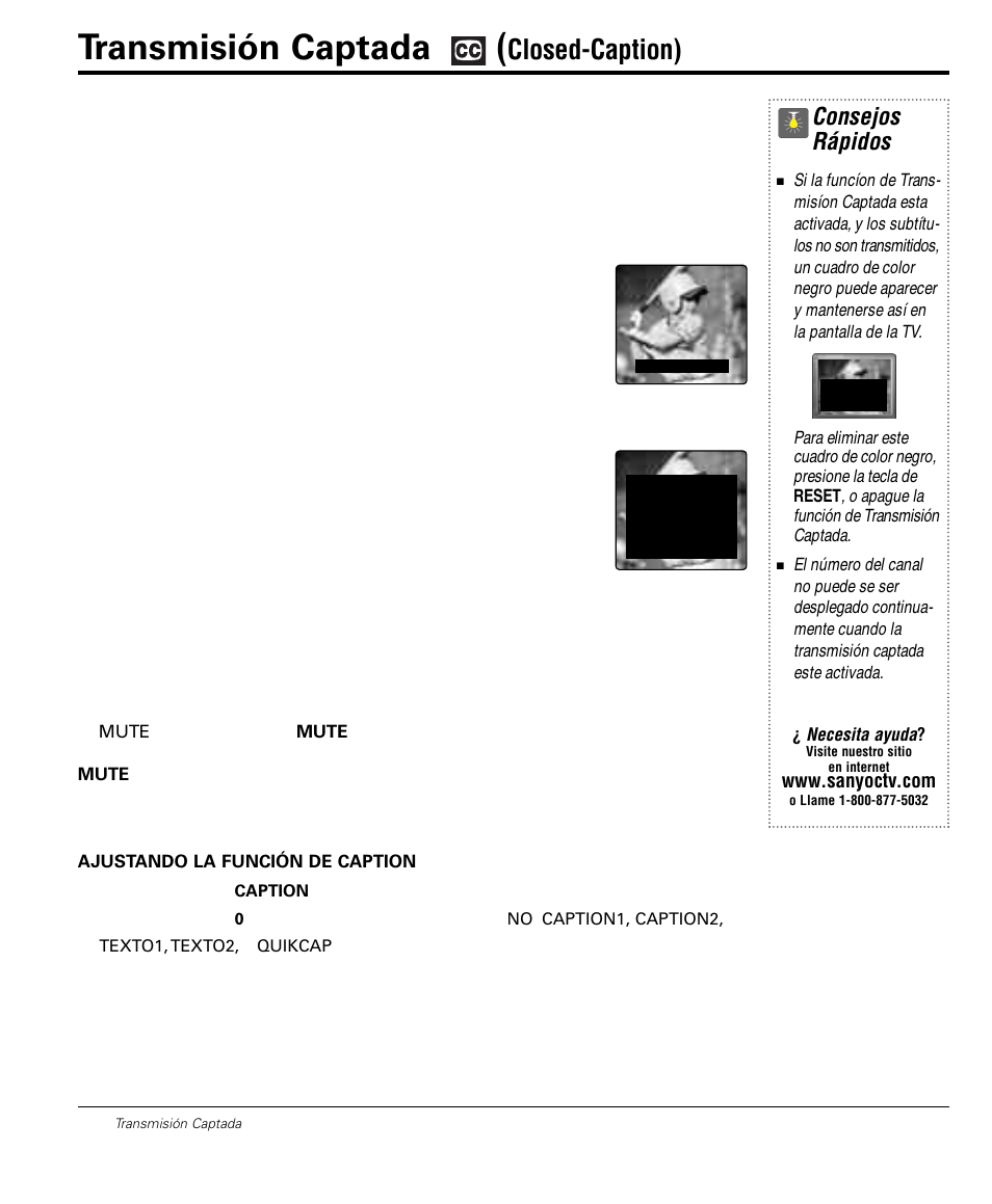 Transmisión captada, Closed-caption), Consejos rápidos | Sanyo DS32224 User Manual | Page 36 / 59