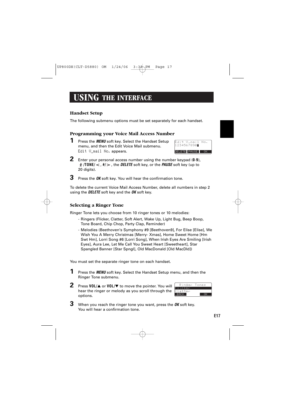 Using, The interface | Sanyo CLT-D5880 User Manual | Page 19 / 60