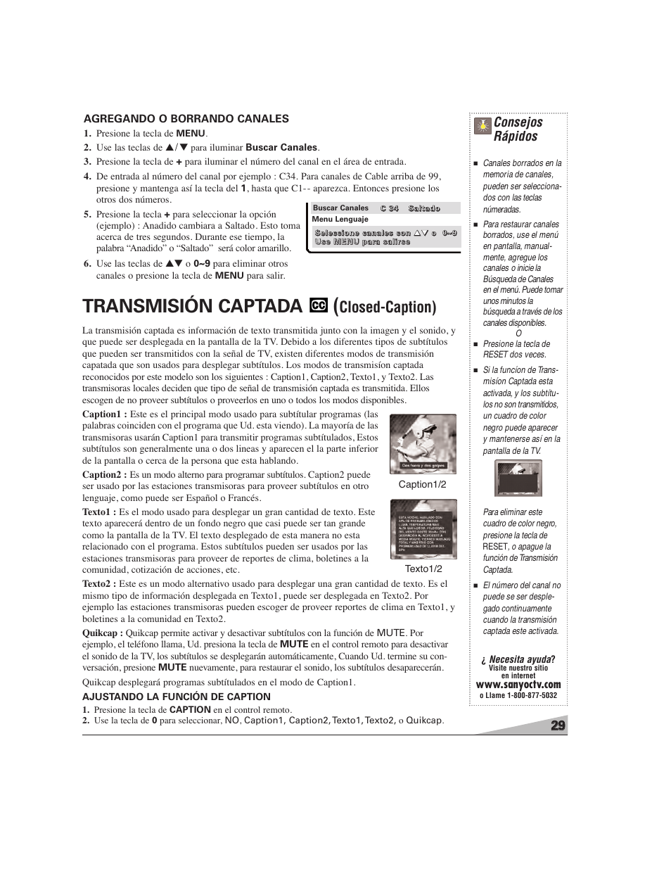 Transmisión captada, Closed-caption), Consejos rápidos | Agregando o borrando canales | Sanyo DS27224 User Manual | Page 29 / 47