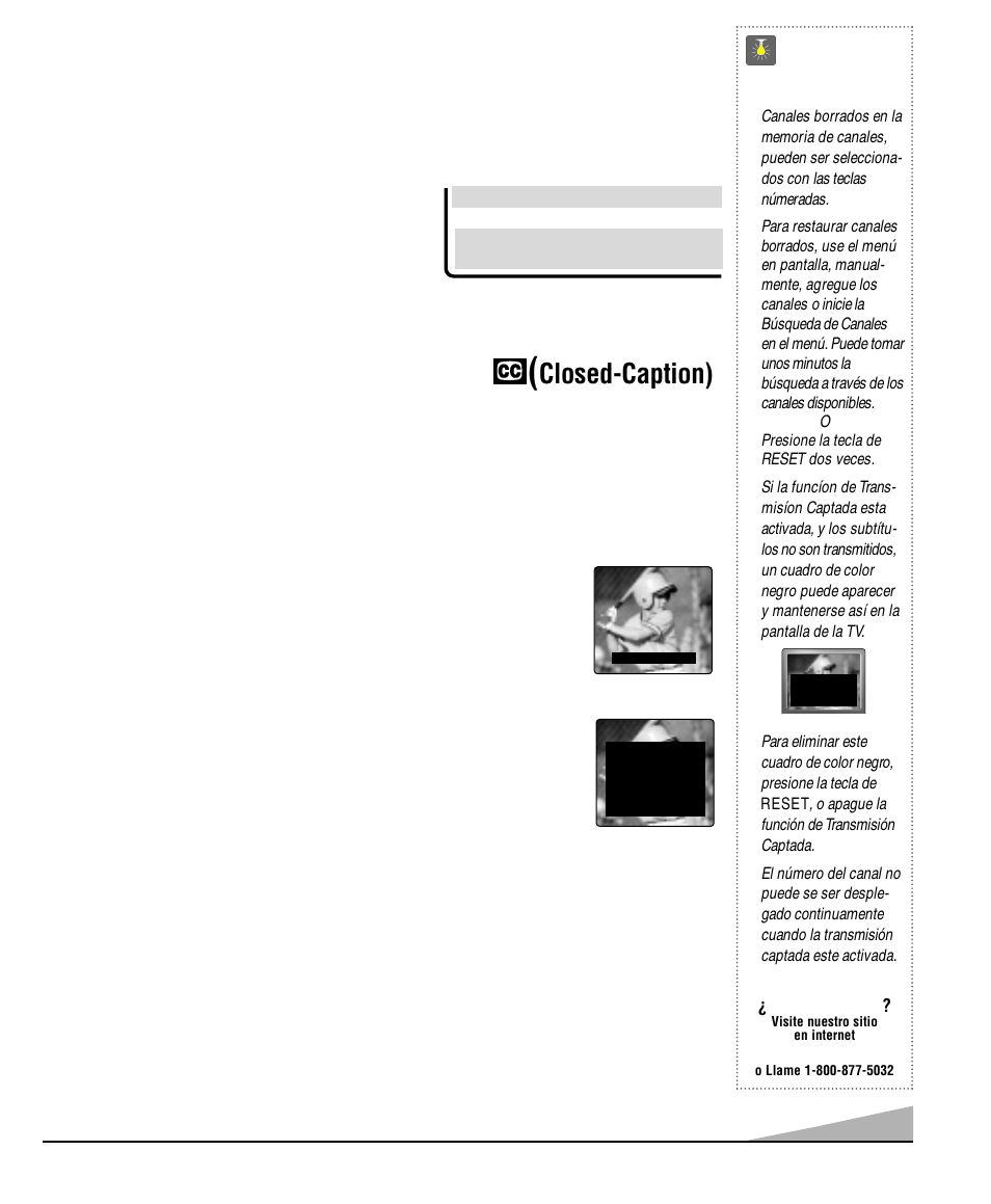 Transmisión captada, Closed-caption), Consejos rápidos | Agregando o borrando canales | Sanyo DS25520 User Manual | Page 29 / 48