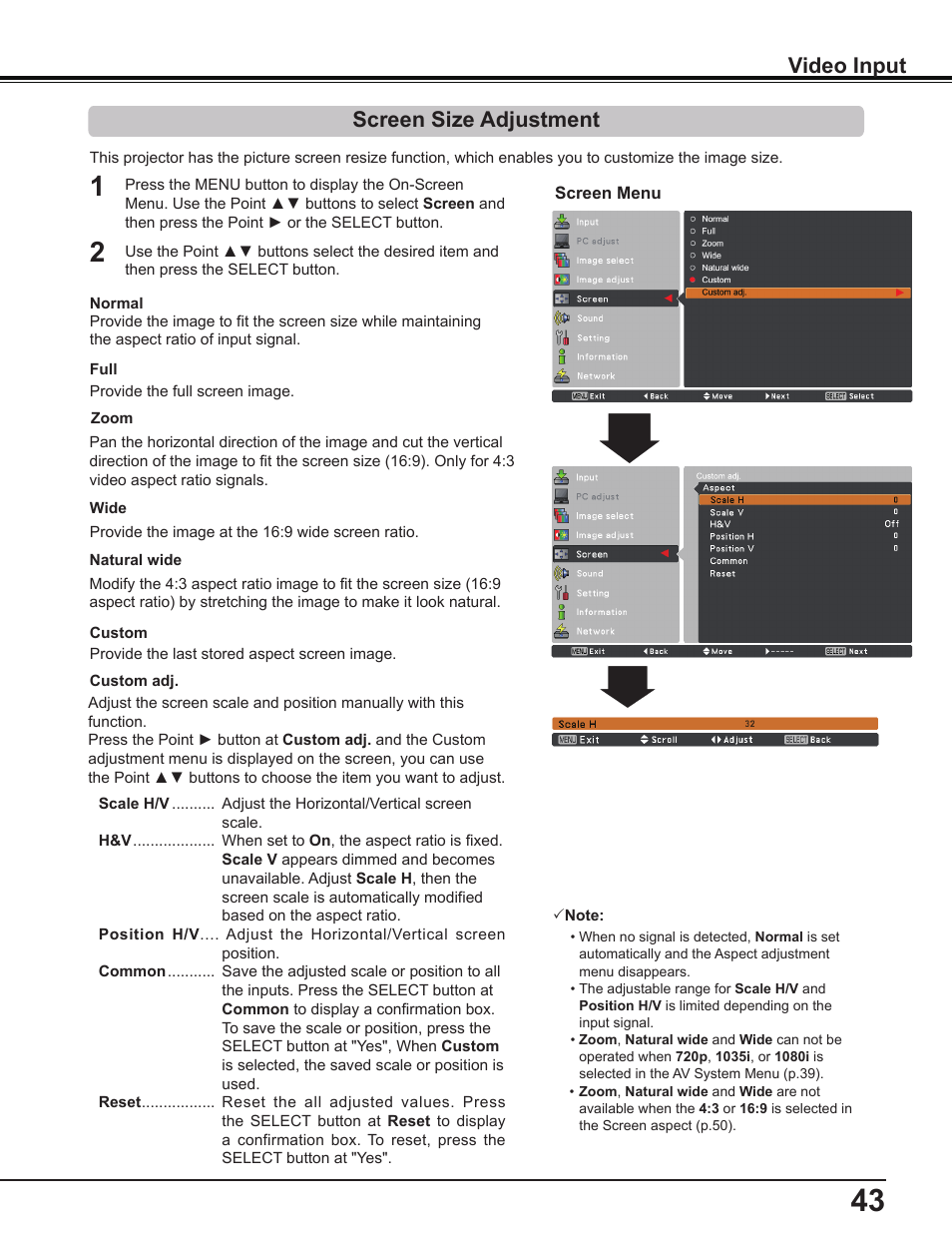 Screen size adjustment, Video input | Sanyo PLC-WL2503A User Manual | Page 43 / 78