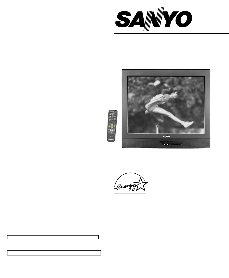 Sanyo DS35510 User Manual | 68 pages