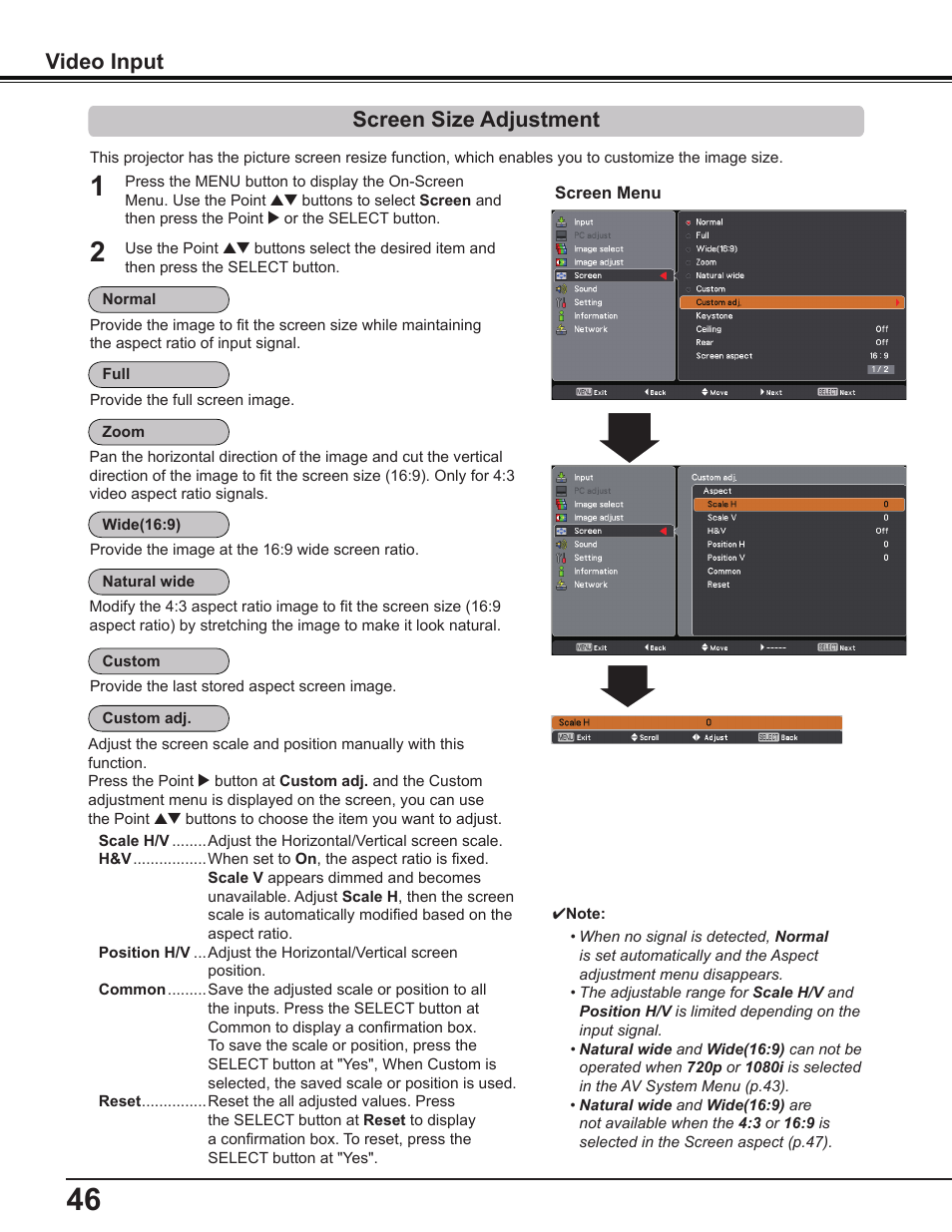 Screen size adjustment, Video input | Sanyo PDG-DWL2500 User Manual | Page 46 / 82
