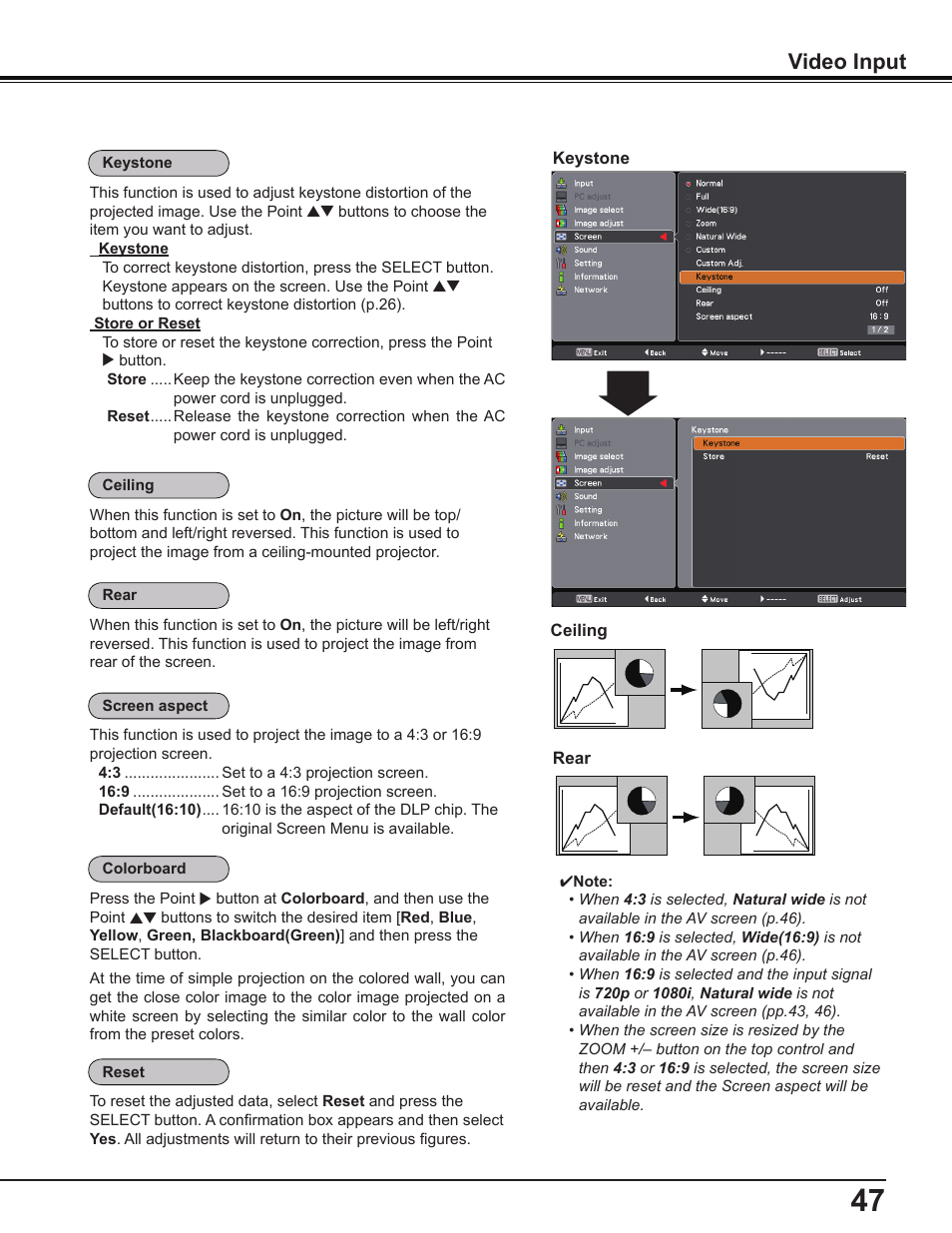 Video input | Sanyo PDG-DWL2500 User Manual | Page 47 / 82