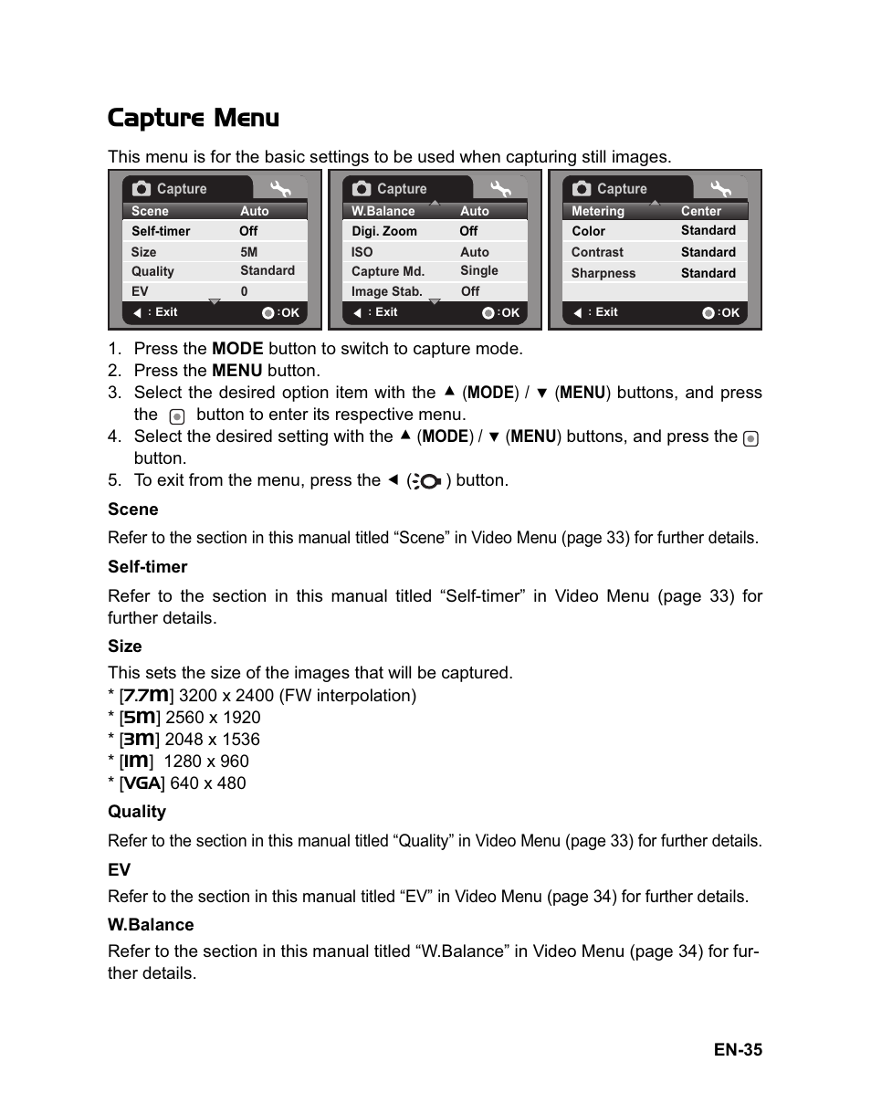 Capture menu | Sanyo VPC-HD100 User Manual | Page 36 / 47
