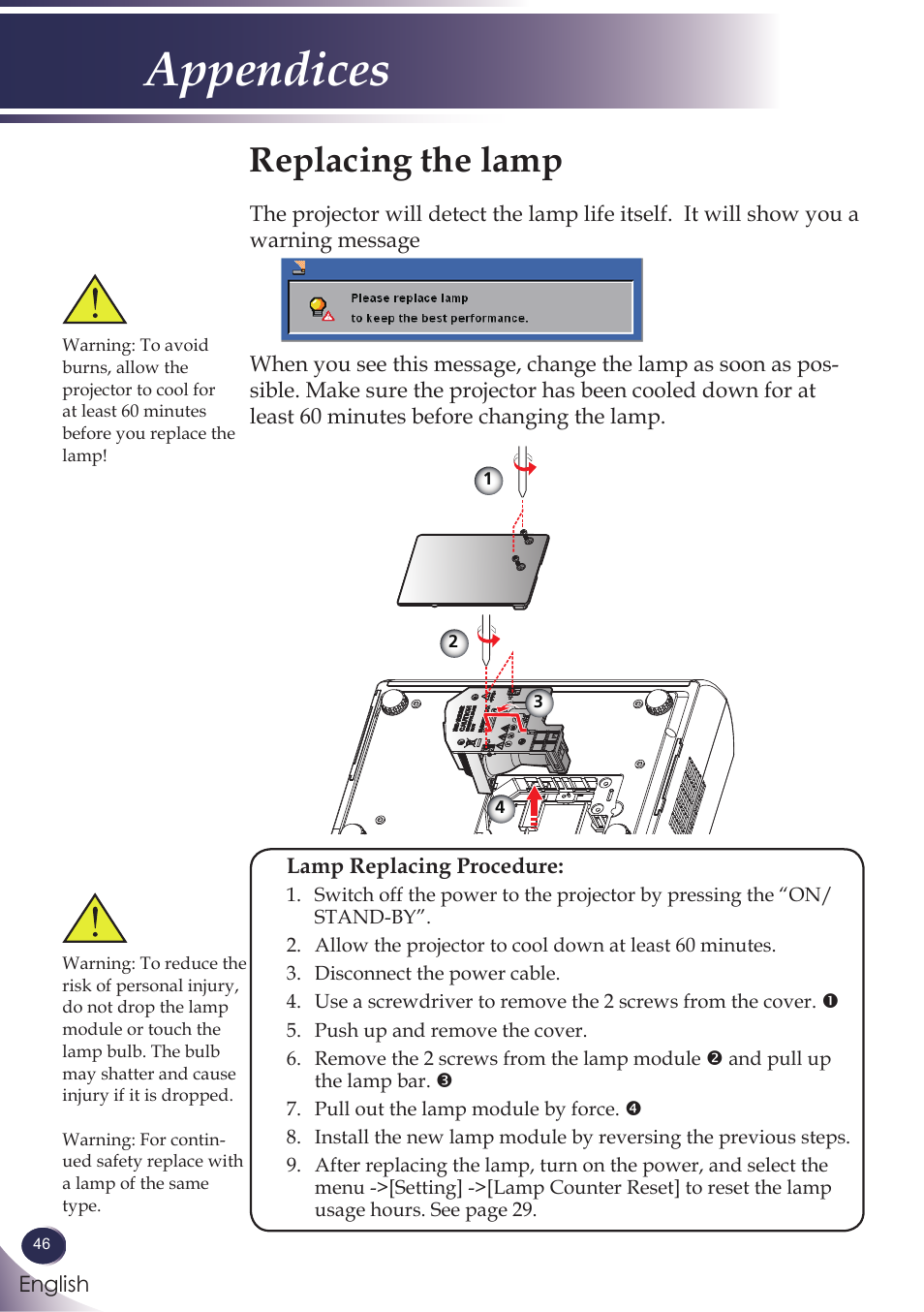 Replacing the lamp, Appendices | Sanyo PJLINK PDG-DXL100 User Manual | Page 47 / 63