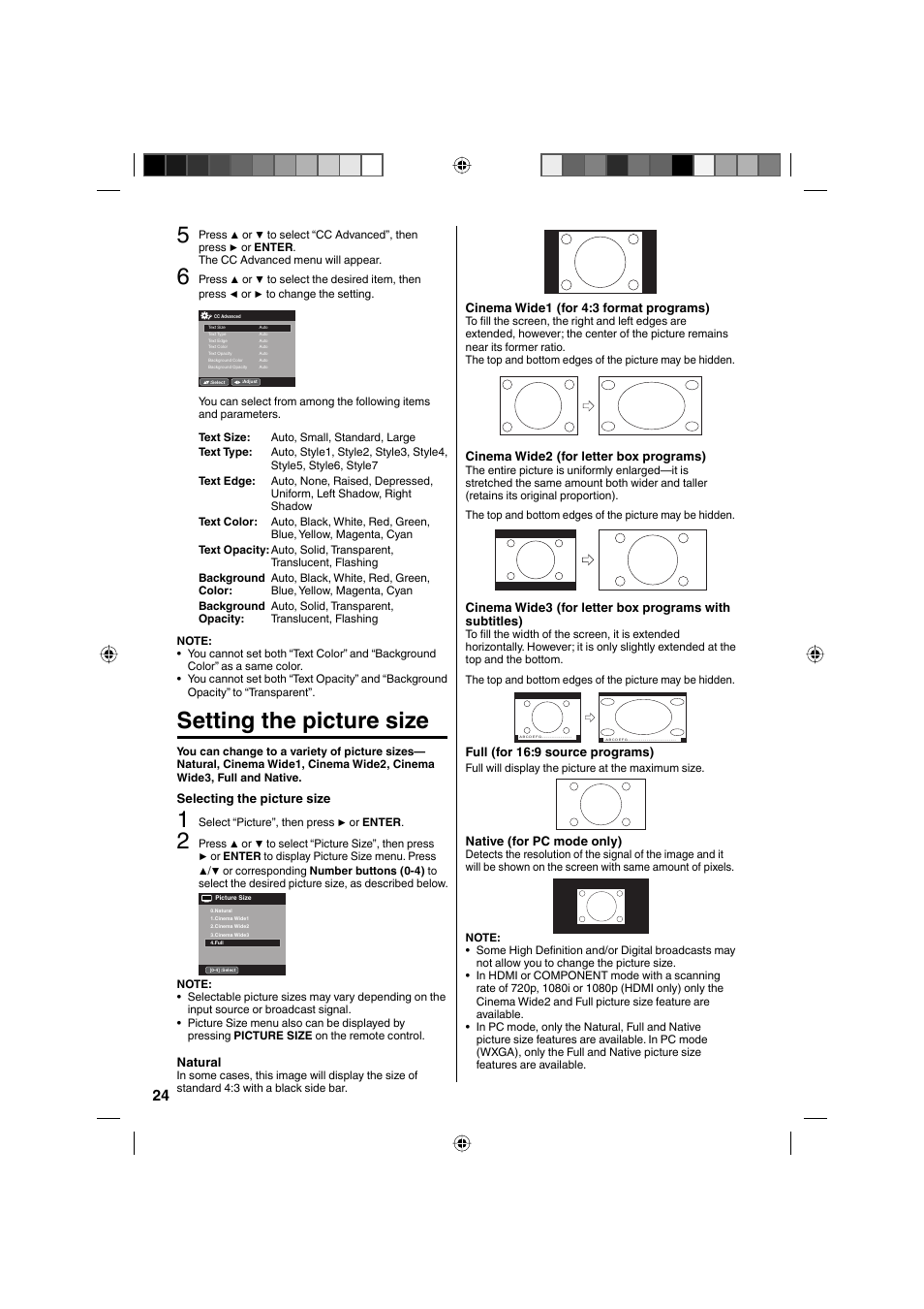 Setting the picture size | Sanyo DP32671 User Manual | Page 24 / 41