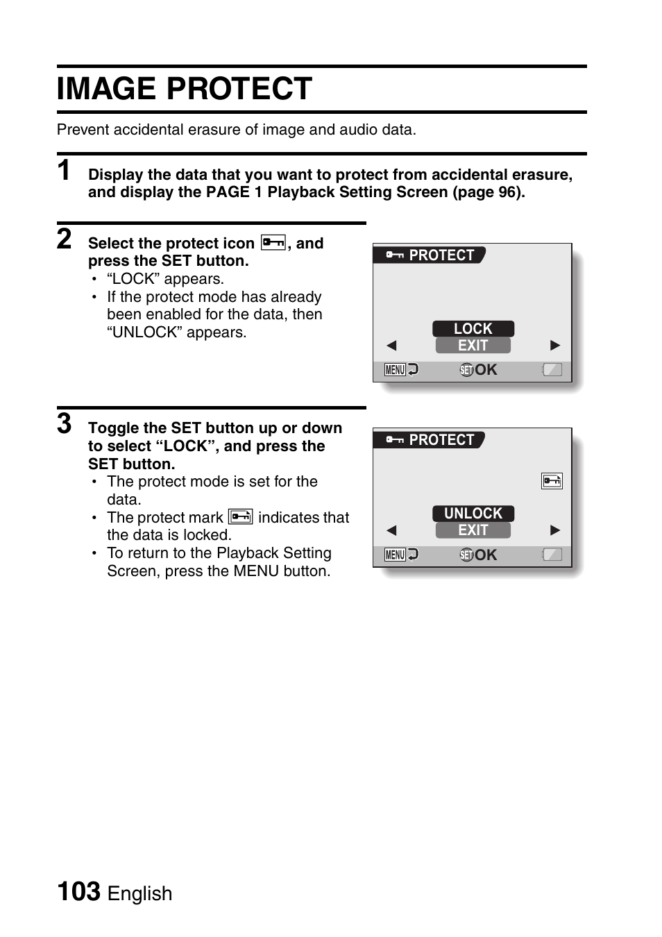 Image protect | Sanyo Xacti VPC-HD2 User Manual | Page 117 / 227