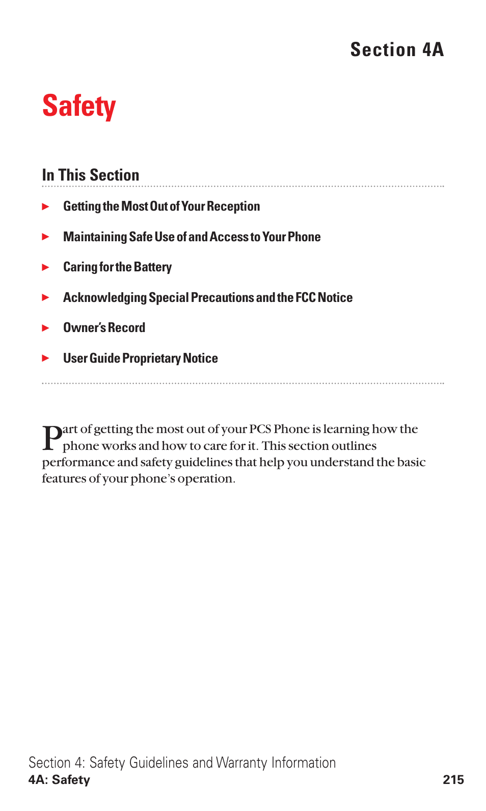 4a. safety, Safety | Sanyo VM4500 User Manual | Page 227 / 244