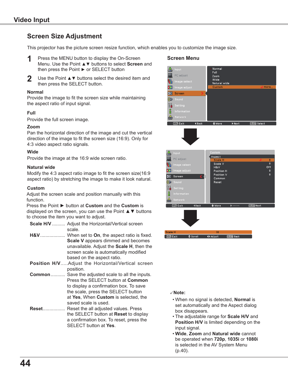 Screen size adjustment, Video input | Sanyo PLC-WU3800 User Manual | Page 44 / 83