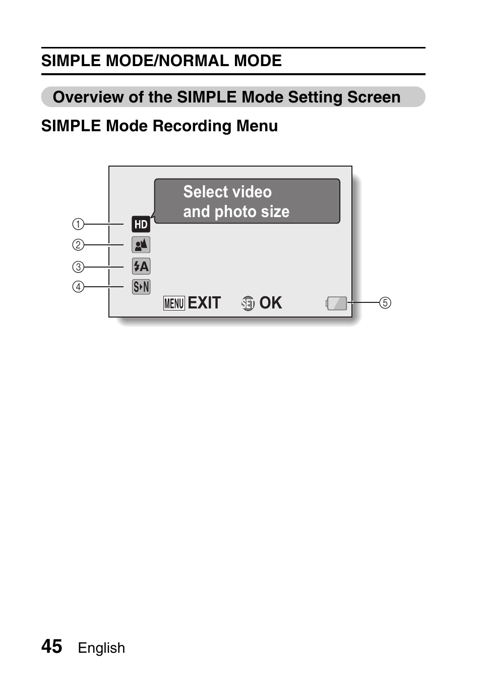 Sanyo HDMI VPC-FH1GX User Manual | Page 66 / 211