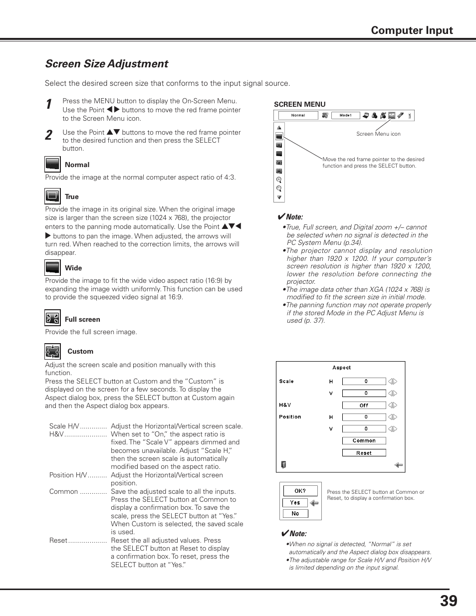 Screen size adjustment, Computer input | Sanyo PLC-XF1000 User Manual | Page 39 / 84