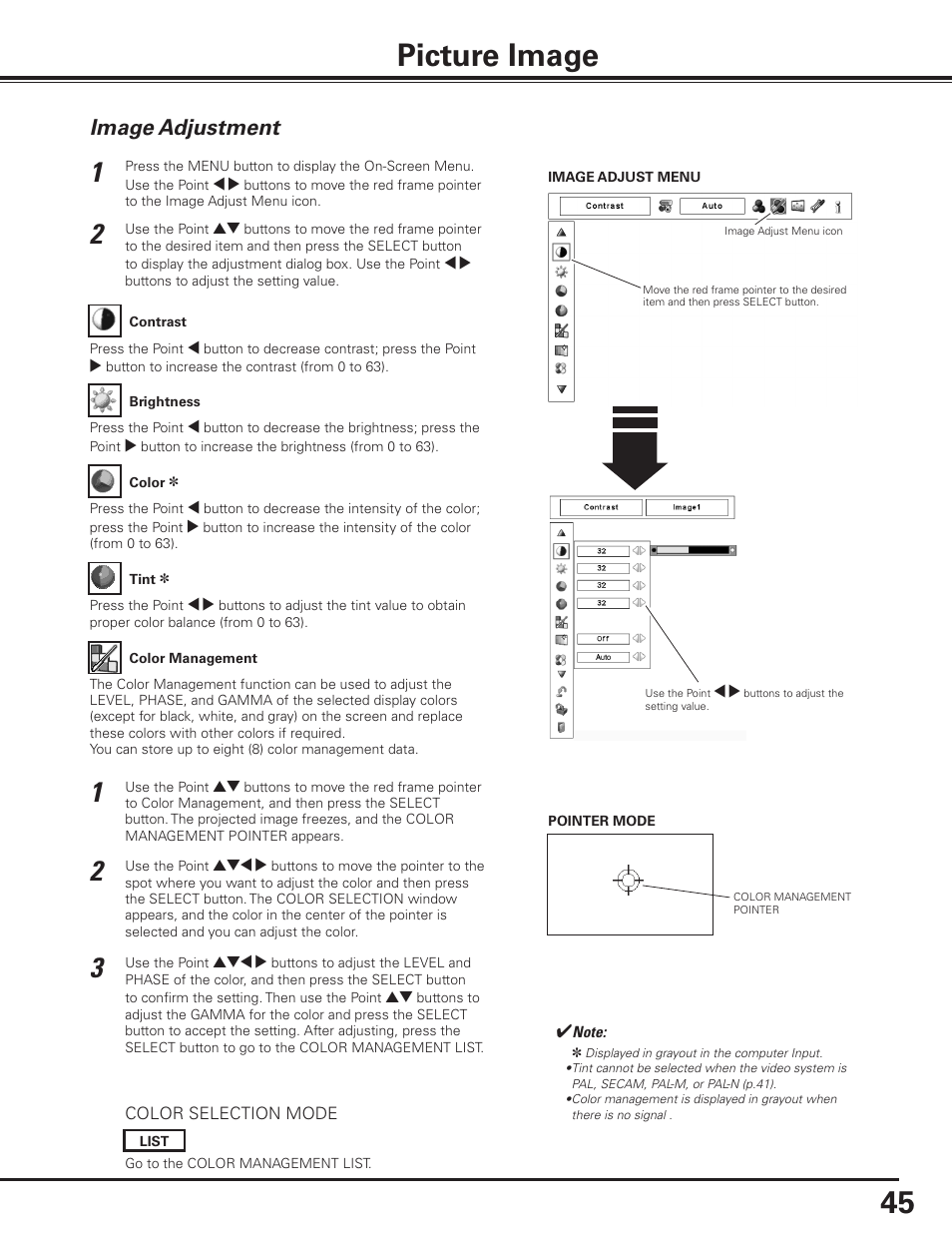 Picture image, Image adjustment | Sanyo PLC-XF1000 User Manual | Page 45 / 84