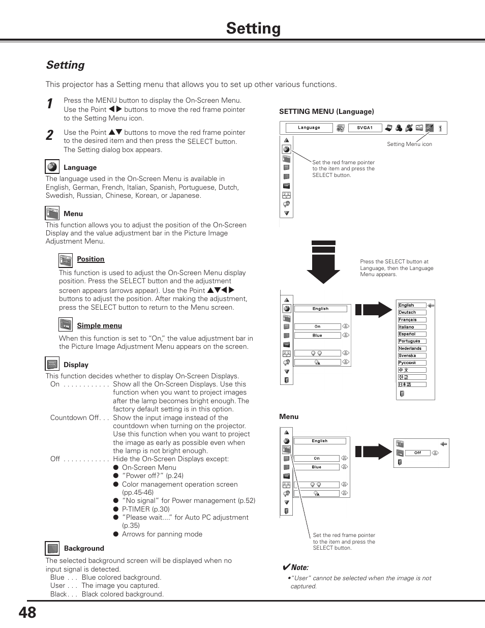 Setting | Sanyo PLC-XF1000 User Manual | Page 48 / 84