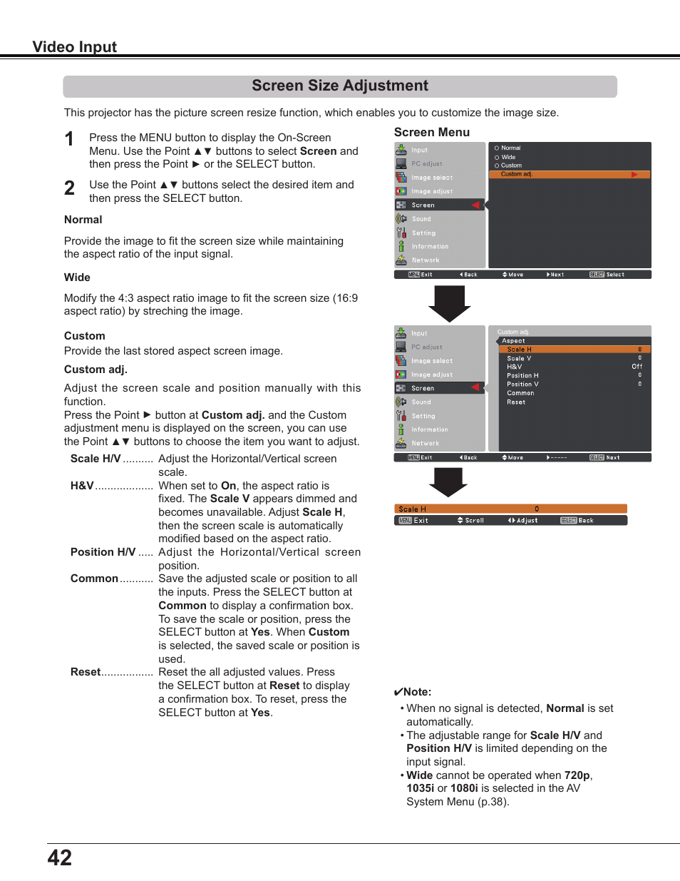 Screen size adjustment, Video input | Sanyo Multimedia PLC-XD2600 User Manual | Page 42 / 78