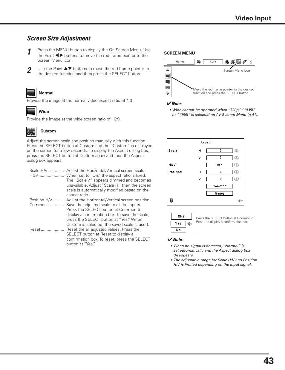 Screen size adjustment, Video input | Sanyo PLC-XP100BKL User Manual | Page 43 / 81