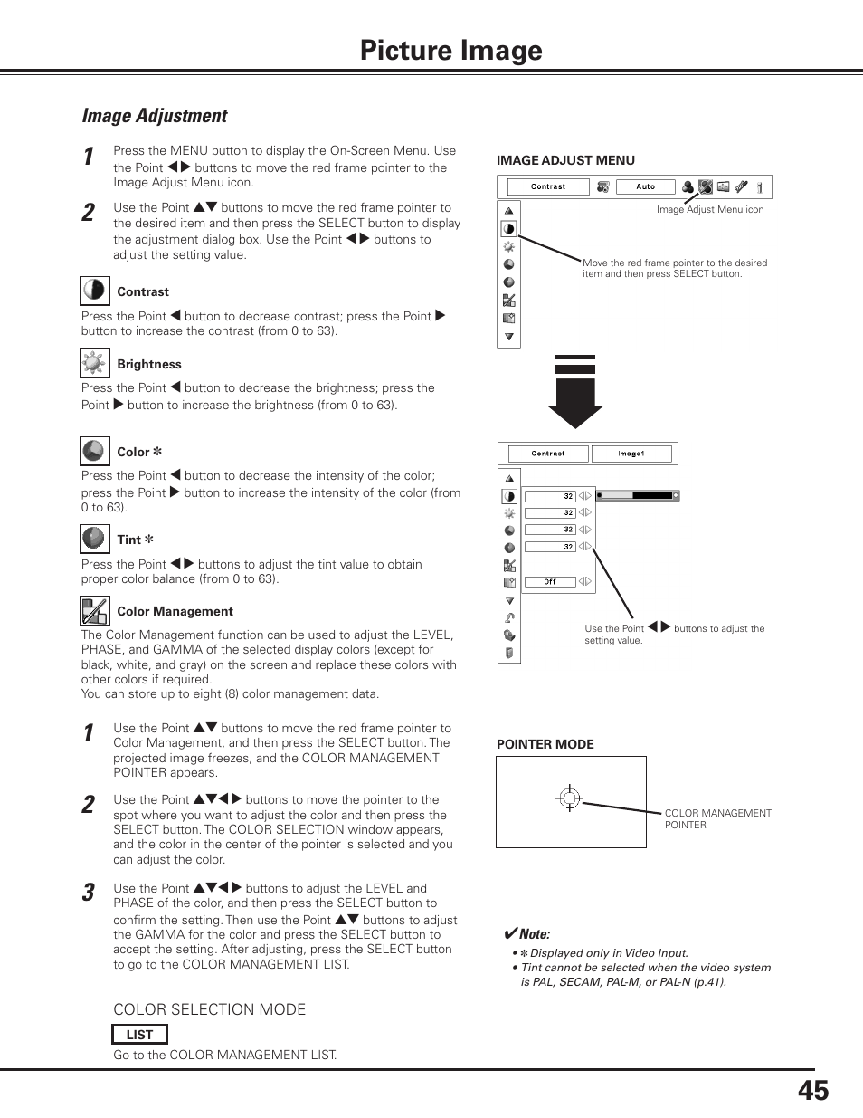 Picture image, Image adjustment | Sanyo PLC-XP100BKL User Manual | Page 45 / 81