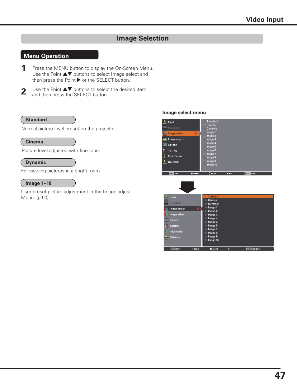 Image selection, 47 video input | Sanyo PLC HF10000L User Manual | Page 47 / 99