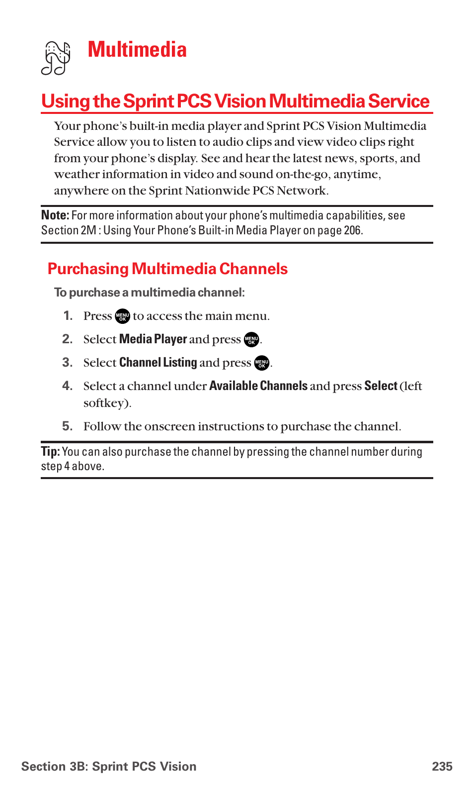 Using the sprint pcs vision multimedia service, Purchasing multimedia channels, Multimedia | Sanyo MM-5600 User Manual | Page 249 / 330